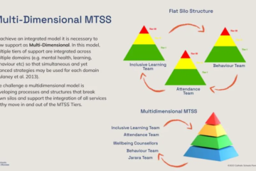 Aren’t we already doing MTSS